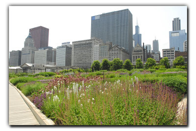 Lurie Garden @ Millennium Park