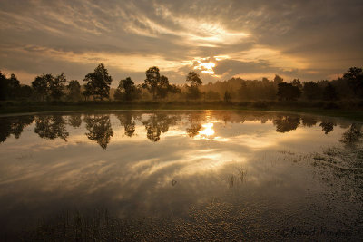 Landscape - Landschappen