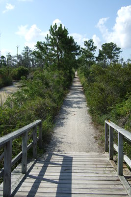 DSCF2350.JPG