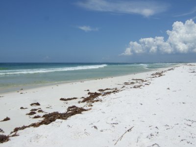 DSCF2367.JPG