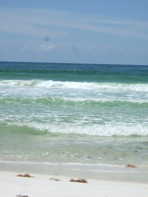 DSCF2369.JPG