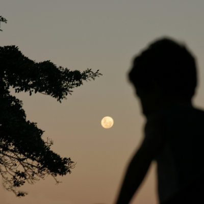 o menino e a lua . the boy and the moon