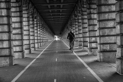 Paris Under Bridge