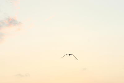 coming back home