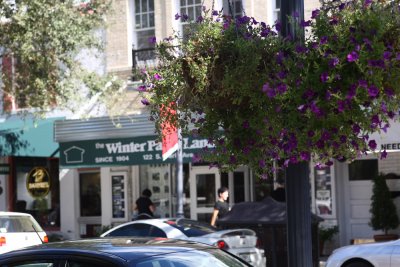 flowers and winter.. this is florida