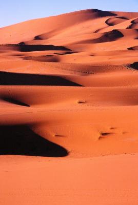 Sahara dunes, Erg Chebbi