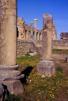Roman ruins, Volubilis