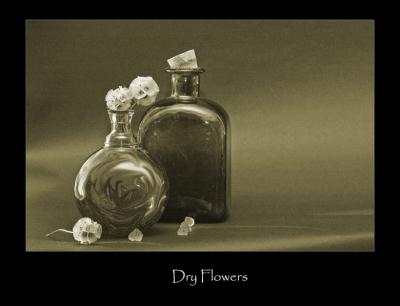 Dry Flowers.jpg
