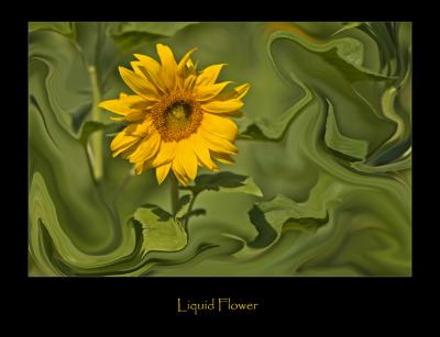 Liquid Flower.jpg