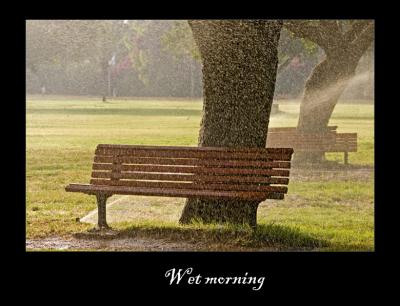 wet morning.jpg
