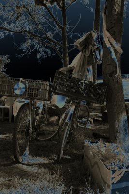 Bikes_rev.jpg