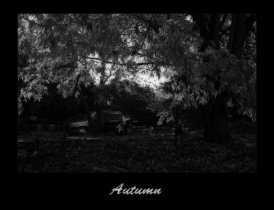Autumn_v2.jpg