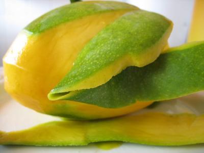 IMG_4529 Mango_1.jpg