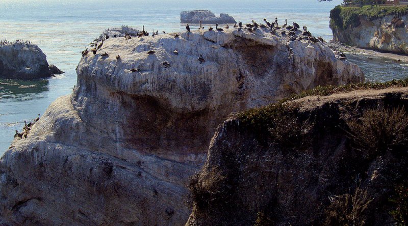 Bird Rock 2 - Shell Beach, CA-.jpg