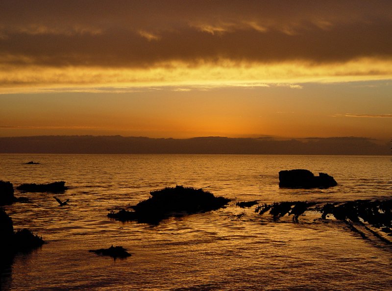 Pismo Sunset.jpg