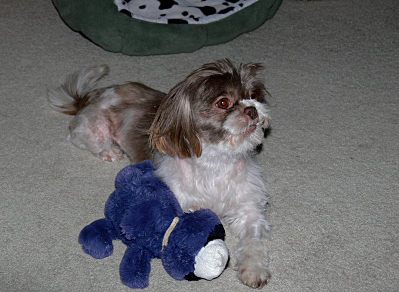 Molly Playing - 2.jpg