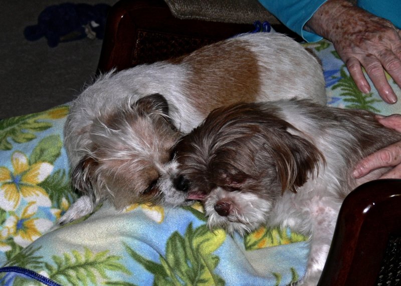 Molly  Marcus Sleeping - 1.jpg