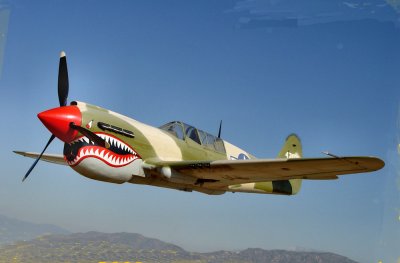 P-40.jpg