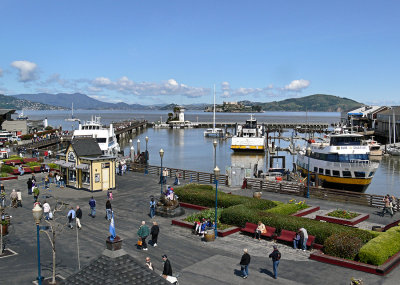 S.F. Harbor.jpg