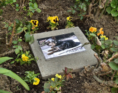 Charlie's Grave - 2.jpg