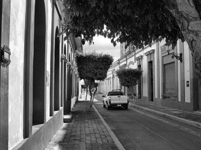 Mazatlan Street Scene - 1.jpg