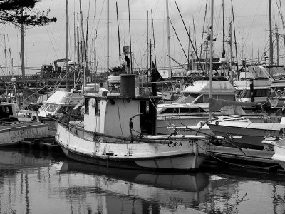 Moss Landing 2006.jpg