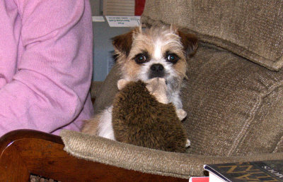 M - After Haircut - 3.jpg