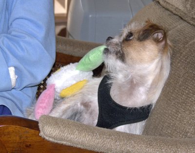 M - After Haircut - 9.jpg