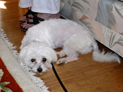 Suzie 7-29-11 - 2.jpg