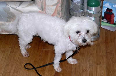 Suzie 7-29-11 - 3.jpg