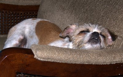 Marcus Asleep - 1Raw.jpg