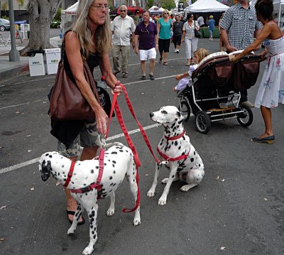 Carlsbad Strret Fair Dogs - 3.jpg