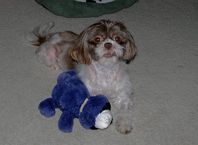 Molly Playing - 3.jpg