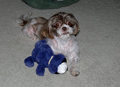 Molly Playing - 4.jpg
