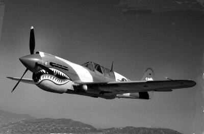 P-40 - Flying Tiger.jpg