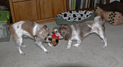 Molly  Marcus - Tug of War - 4.jpg
