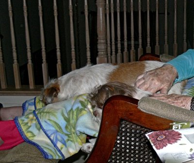 Molly  Marcus Sleeping - 2.jpg
