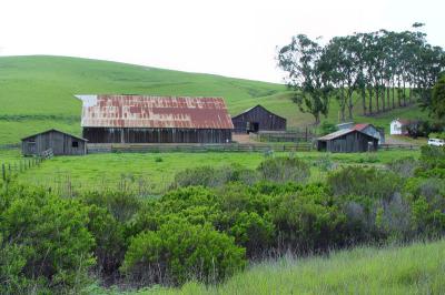 San Luis Obispo Farmstead 3.jpg