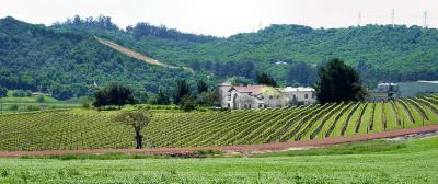 Winery - Rural Pismo.jpg