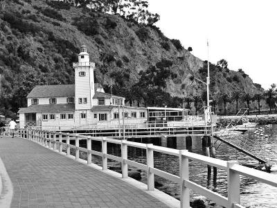 White Fence & Lighthouse-Avalon, CA .jpg
