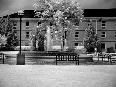 McKendrie College 3.jpg