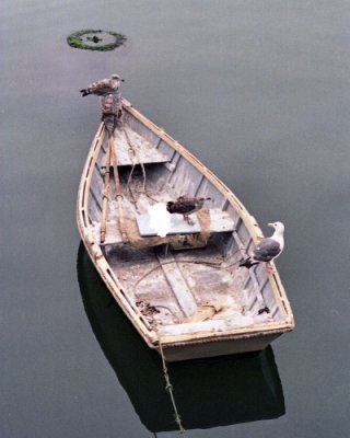 San Luis Bay -  Boat.jpg