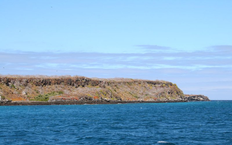 North Seymour island, Galapagos