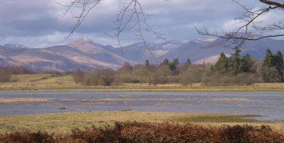 Glen Luss hills and Wards Pond, Loch Lomond NNR