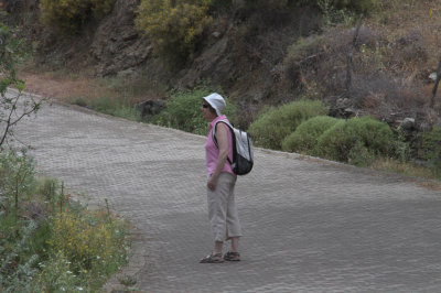 Brenda on the way to Çandır