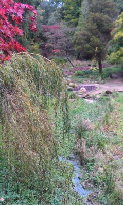 The Japanese Garden, Dalzell Wood, Motherwell