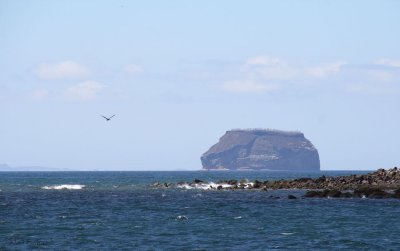 Daphne Minor island from North Seymour, Galapagos
