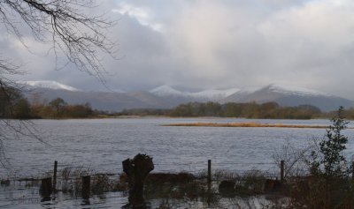 Wards Pond flood, Loch Lomond NNR