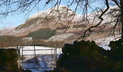 Dumgoyne from the West Highland way near Carbeth