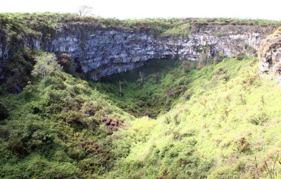 One of the Los Gemelos lava collapse craters, Santa Cruz, Galapagos